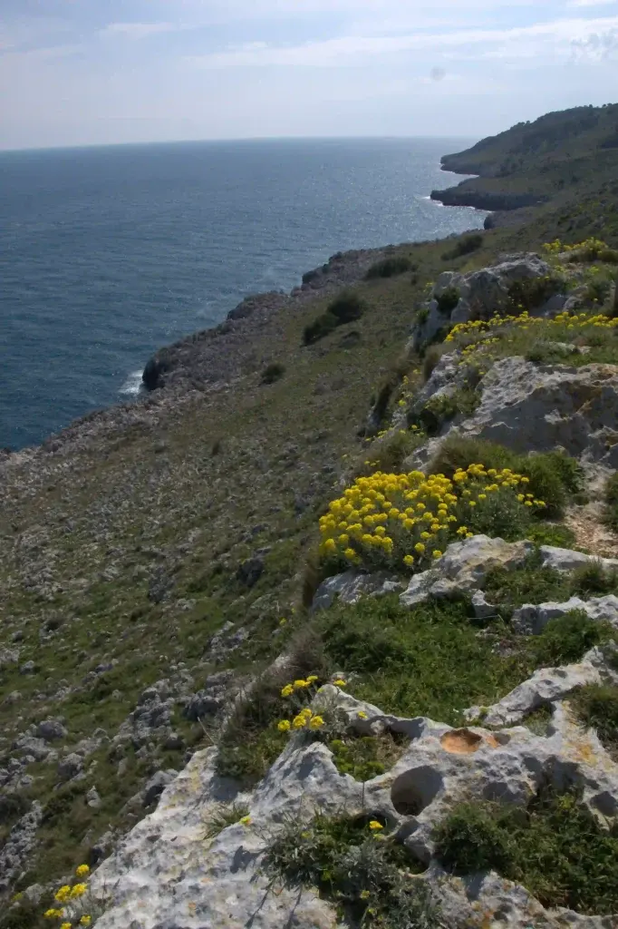 Coste e mare del Salento