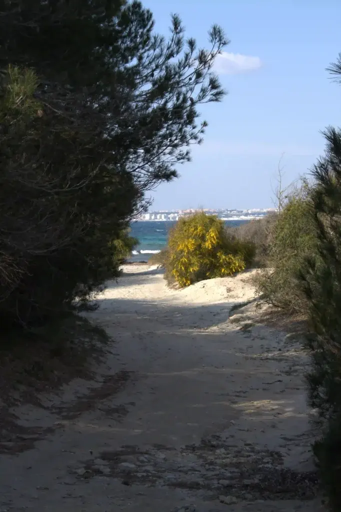 Coste e mare del Salento